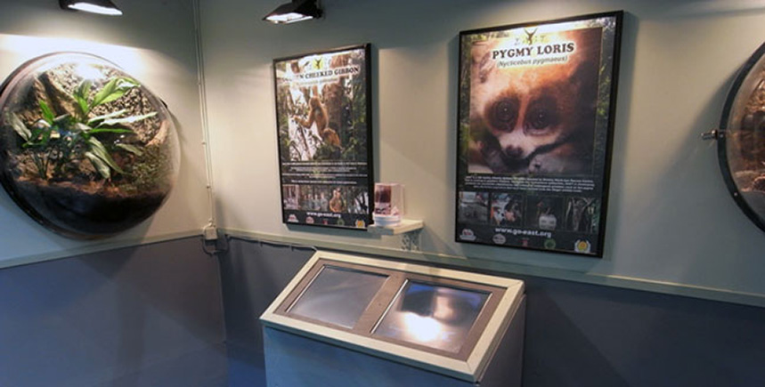 0922093155398_TropicariumDisplay