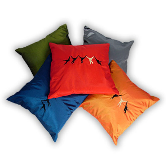 Silk Cushion Covers