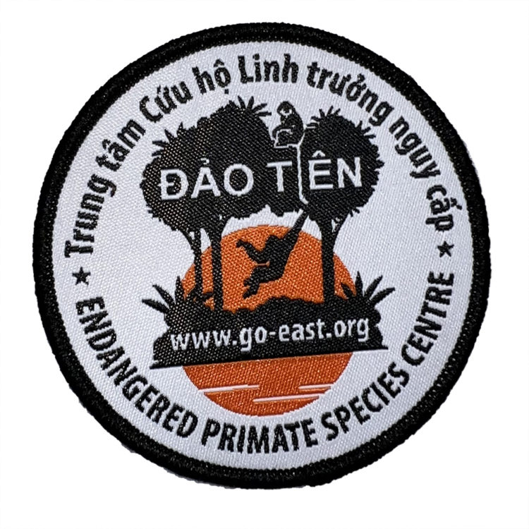 EAST Dao Tien patch 1000px