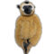 Female Golden-Cheeked Gibbon Soft Toy