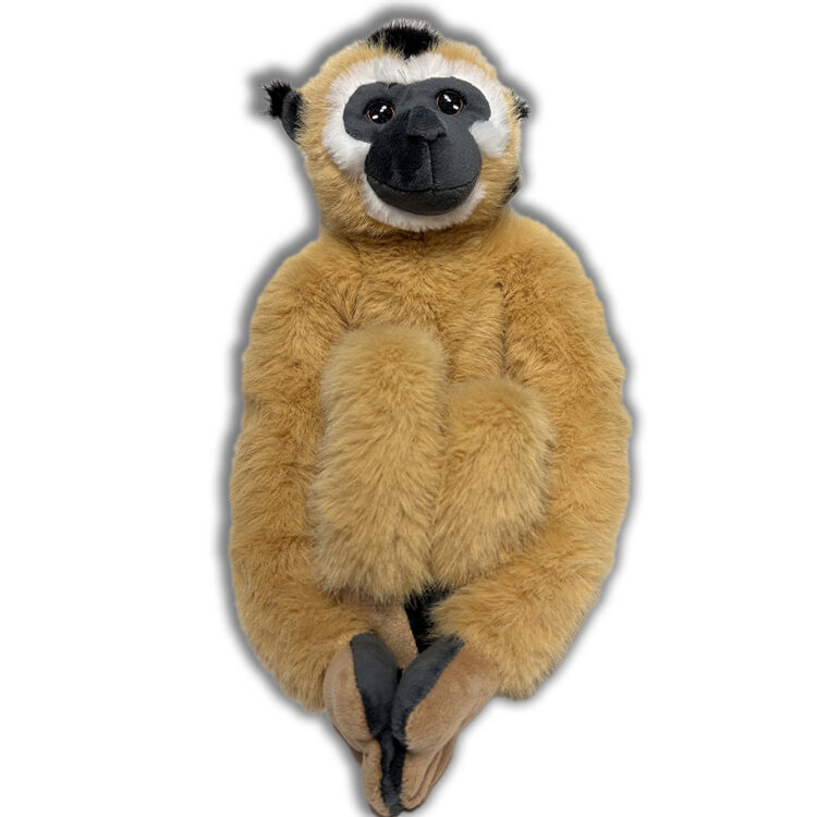 EAST Female gibbon Soft to 1kpx