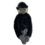Male Golden-Cheeked Gibbon Soft Toy