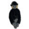 Male Golden-Cheeked Gibbon Soft Toy