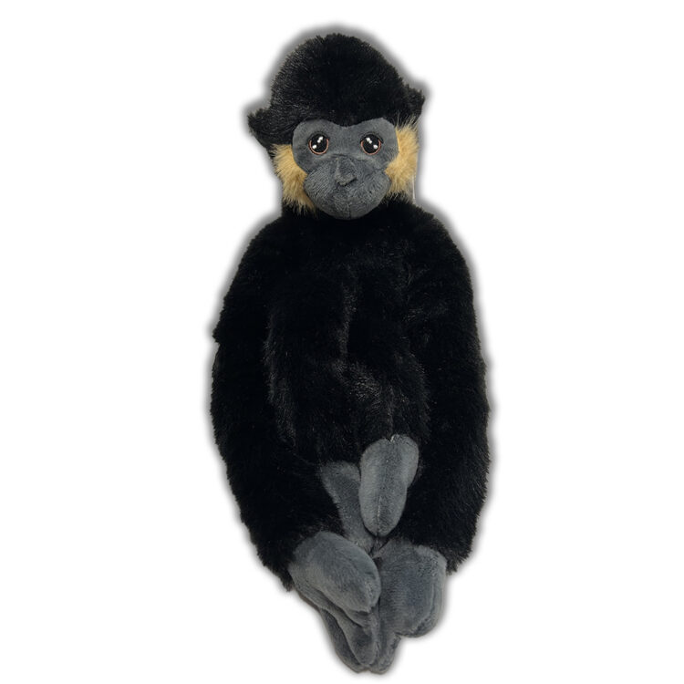 EAST Male gibbon Soft to 1kpx