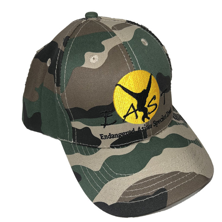 EAST camo cap 1000px