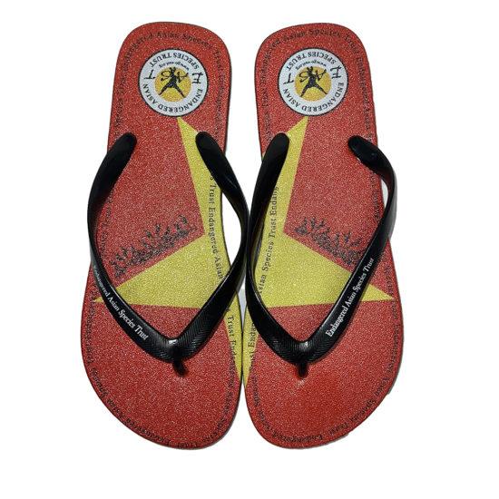 EAST Flip-Flops