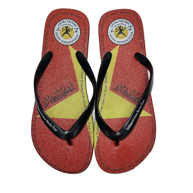 EAST flip flop 1000px