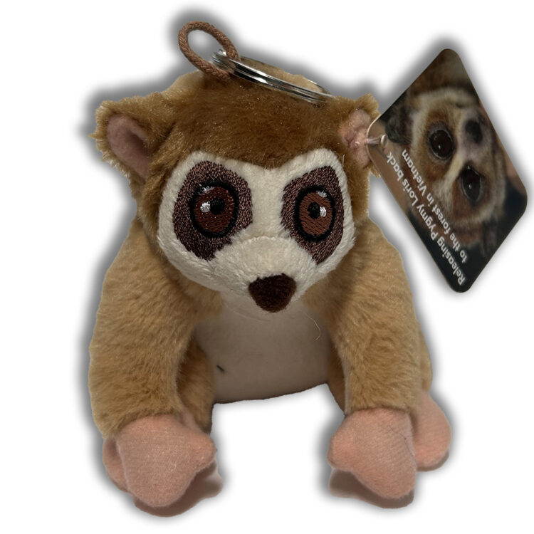EAST loris Soft to 1kpx
