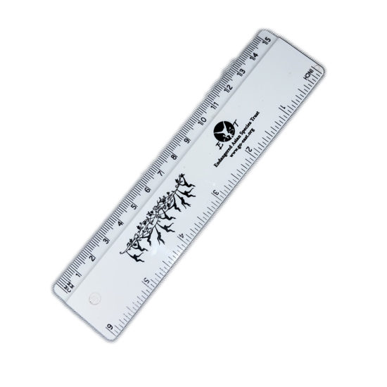 EAST 15cm Ruler