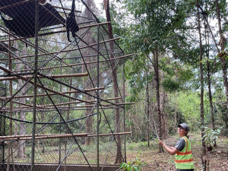 Welcoming back Volunteers and Researchers to Dao Tien