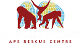 Monkey World