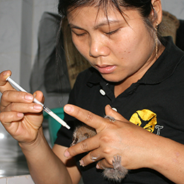 Phuong-Hoai