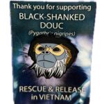 Pin Badge Black-Shanked Douc