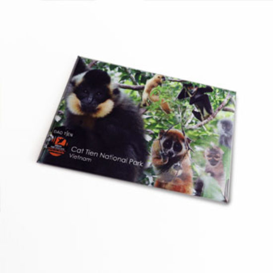 Dao Tien Magnet