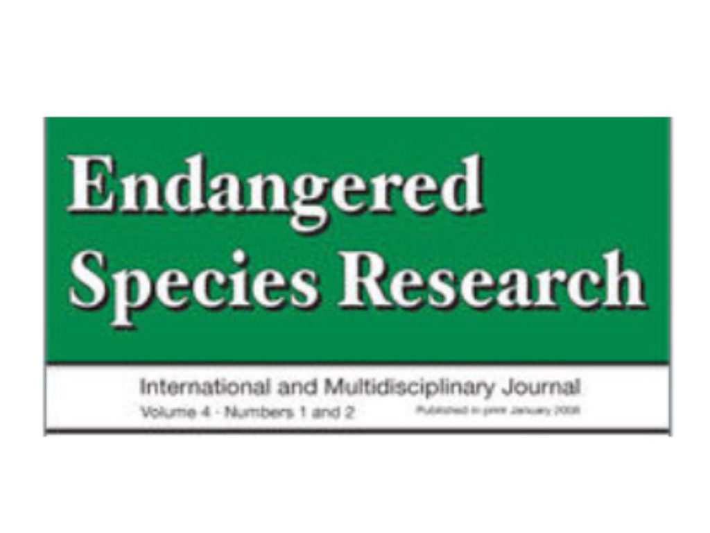 Survival of reintroduced pygmy slow loris Nycticebus pygmaeus in South Vietnam