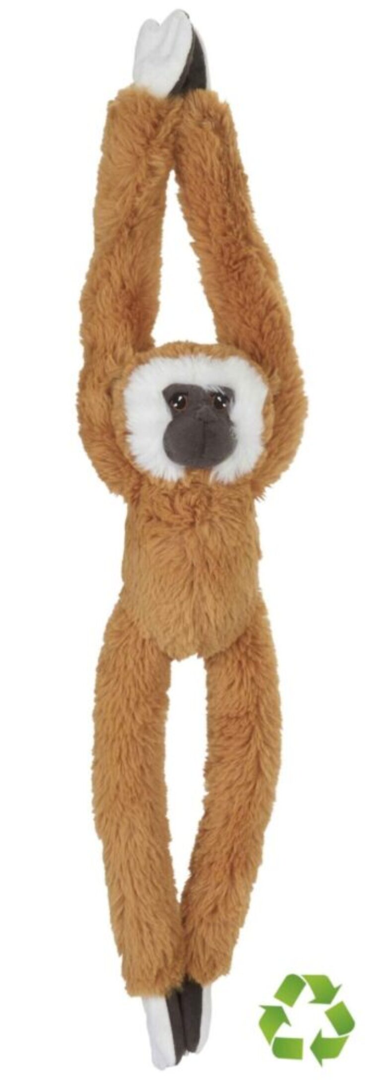 hanging gibbon