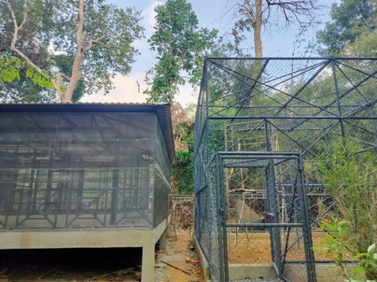 Specialist infant douc & silvered langur emergency care house is finally under construction!