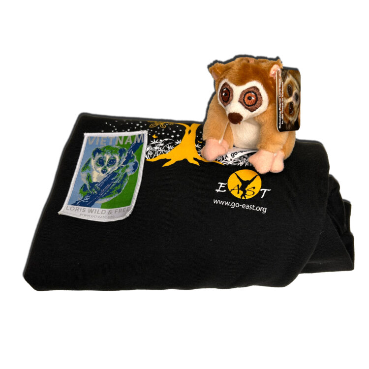 sweatshirt bundle sweatshirt bundle